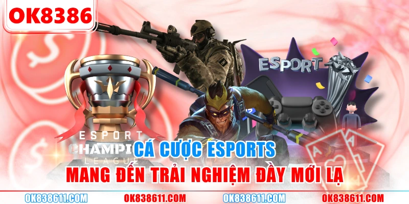 Cá cược Esports mang đến trải nghiệm đầy mới lạ